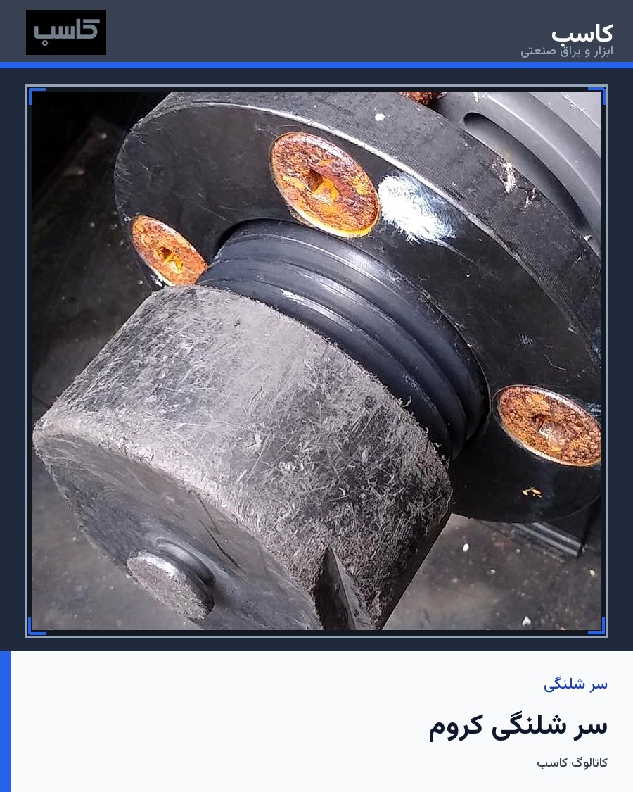 سر شلنگی کروم